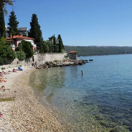 Zdenka - 100 M From The