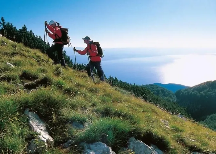 Zdenka - 100 M From The アパート オパティヤ