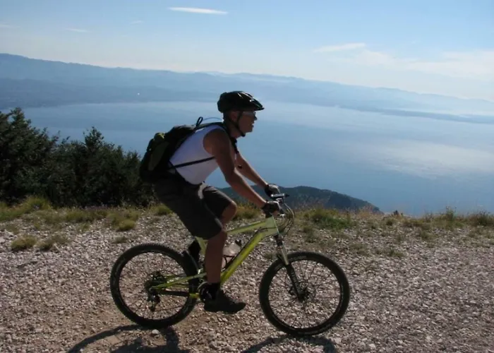 Zdenka - 100 M From The アパート オパティヤ